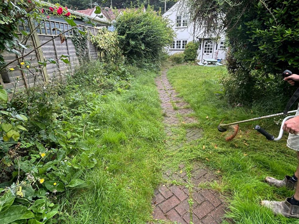 Before: long grass and weeds growing over an old herringbone brick path, a strimmer at work on the right