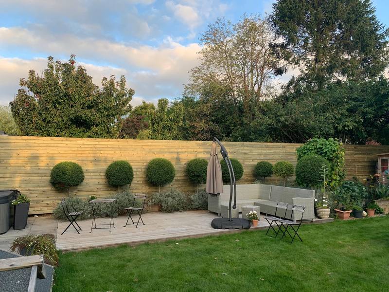 A horizontal slatted fence behind a row of lollipop trees, a patio and a lawn in front of it