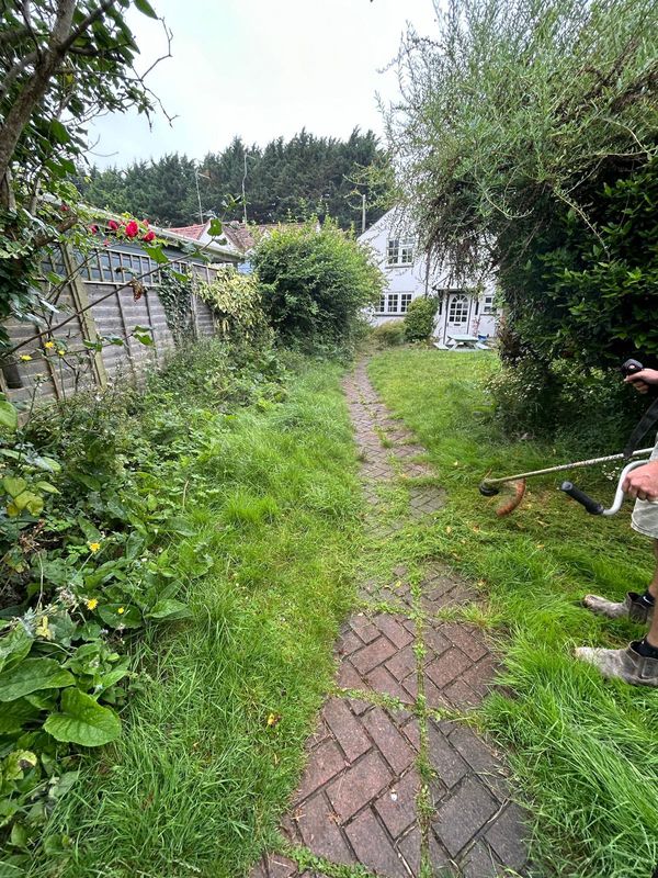 Before: long grass and weeds growing over an old herringbone brick path, a strimmer at work on the right