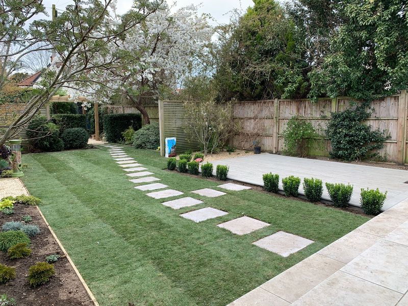 A line of stepping stones across a newly turfed lawn to a pale stone patio edged with young box plants