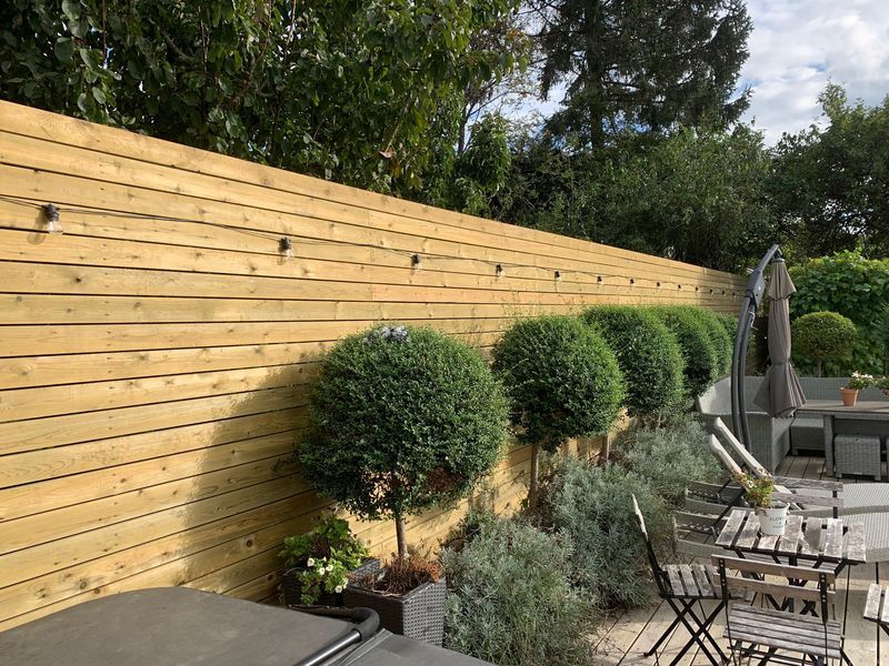 Looking along the horizontal slatted fence, lollipop trees and silver-leaved planting at its foot, festoon lights strung across the boards