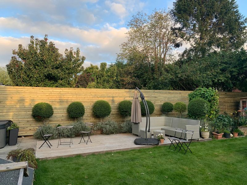 A long horizontal slatted fence across the back of a garden, a row of lollipop trees in front of it, a seating area and lawn in the foreground