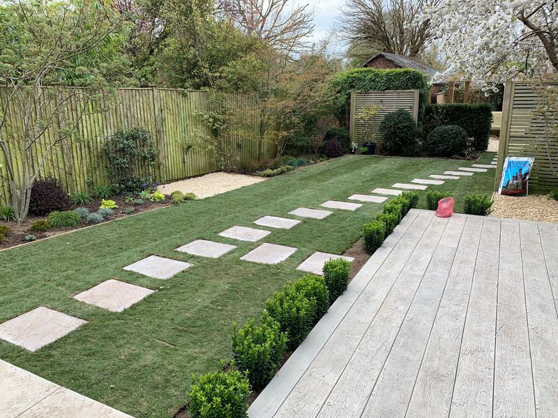 Square stepping stones laid through new turf beside a row of young box plants edging a pale grey deck, slatted screens and a flowering cherry at the far end